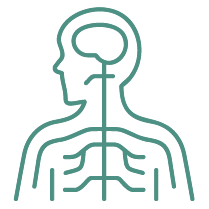 icons_nervous system body